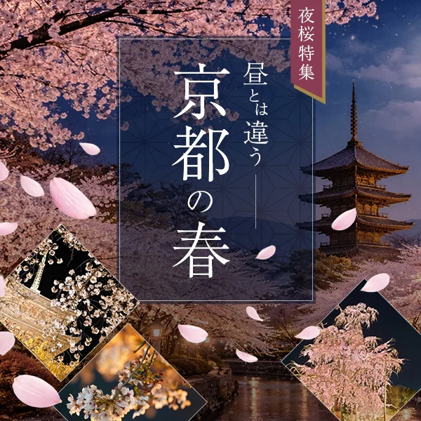 夜桜のバナー